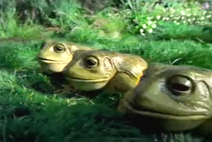 Three frogs sitting on vibrant green moss in a natural setting representing big trends we almost forgot.