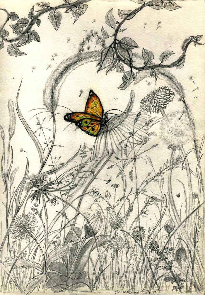 Find The Fox It's Starring At You :-)