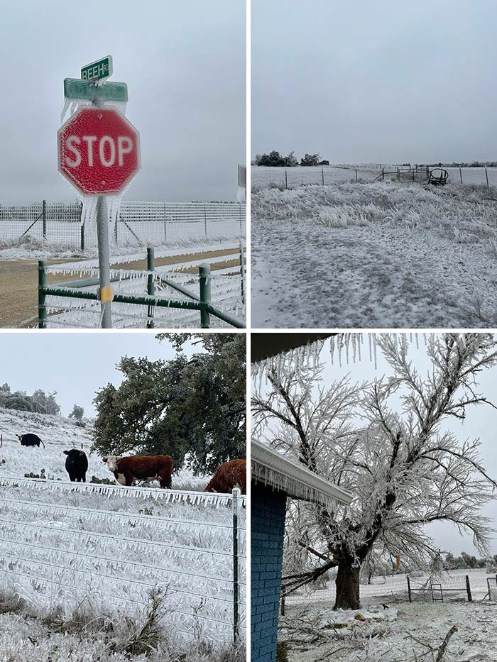Snow Storm In Texas. Things Are Nuts In Fredericksbur
