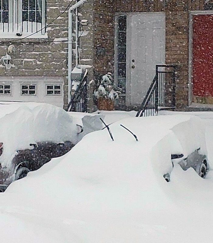 Recuerden levantar los limpiaparabrisas para que no se congelen