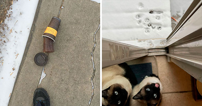 50 Times People Saw The True Power Of Winter And Just Had To Document It (New Pics)