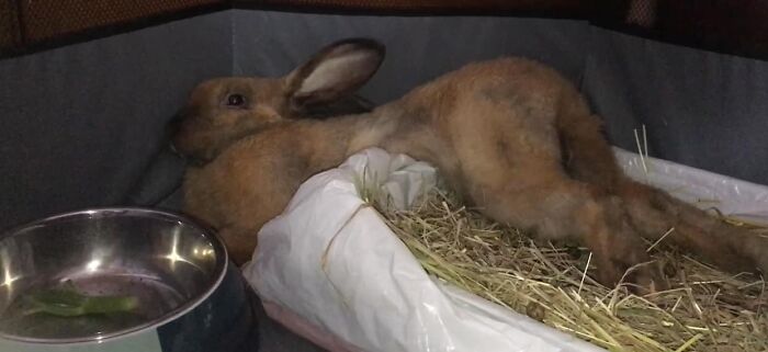 This Is Fleetwood - Hopefully Soon To Be Hubby Of Ghost Malone