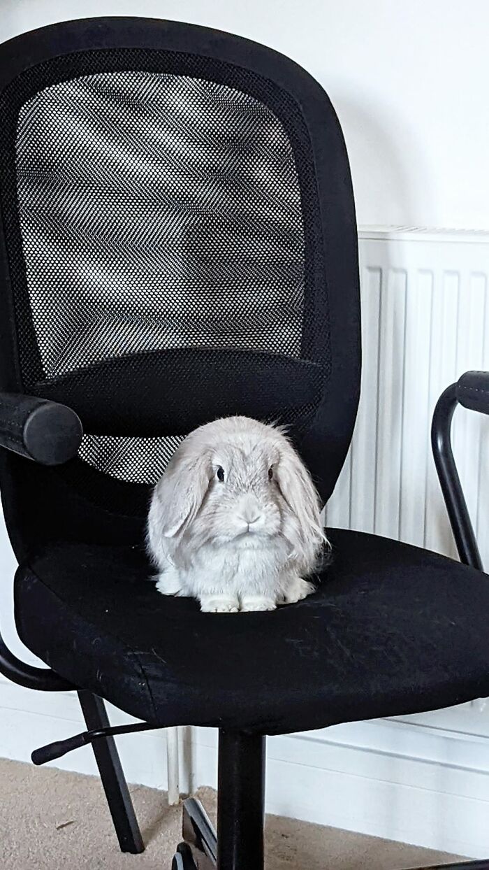 The Manager Will See You No