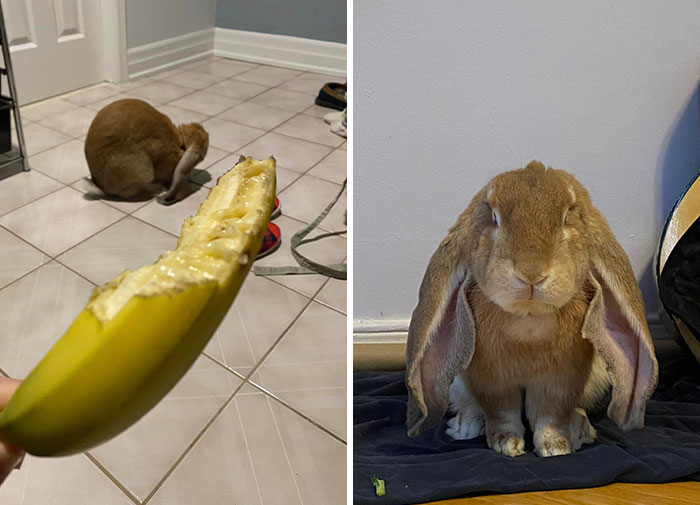 Les presento a Owen Wilson. Decidió inspeccionar mi bolsa del almuerzo cuando volví del trabajo 