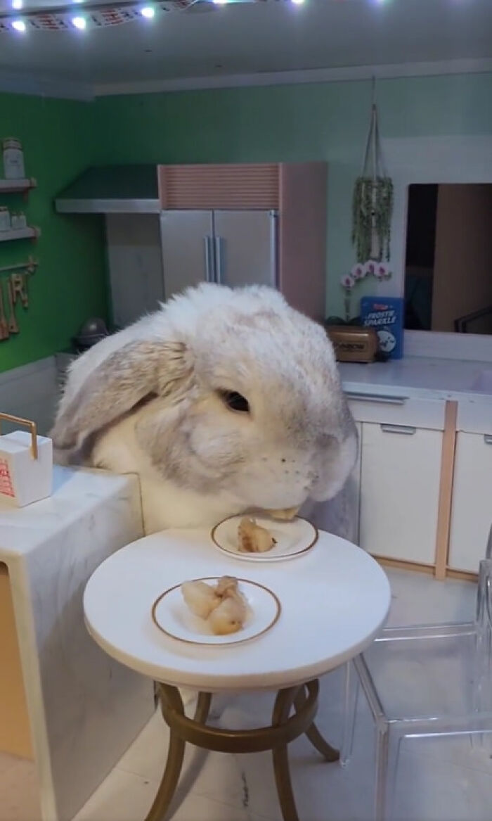 As Requested, More Arsehole Nimbi In Doll Hous