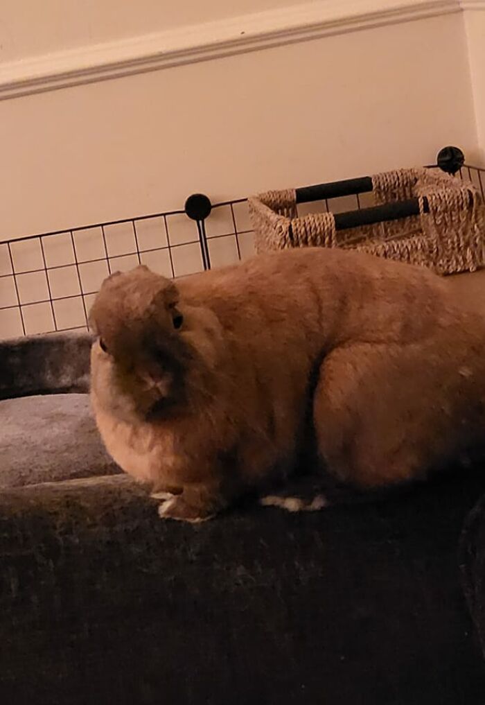 His Dinner Was 2 Minutes Late