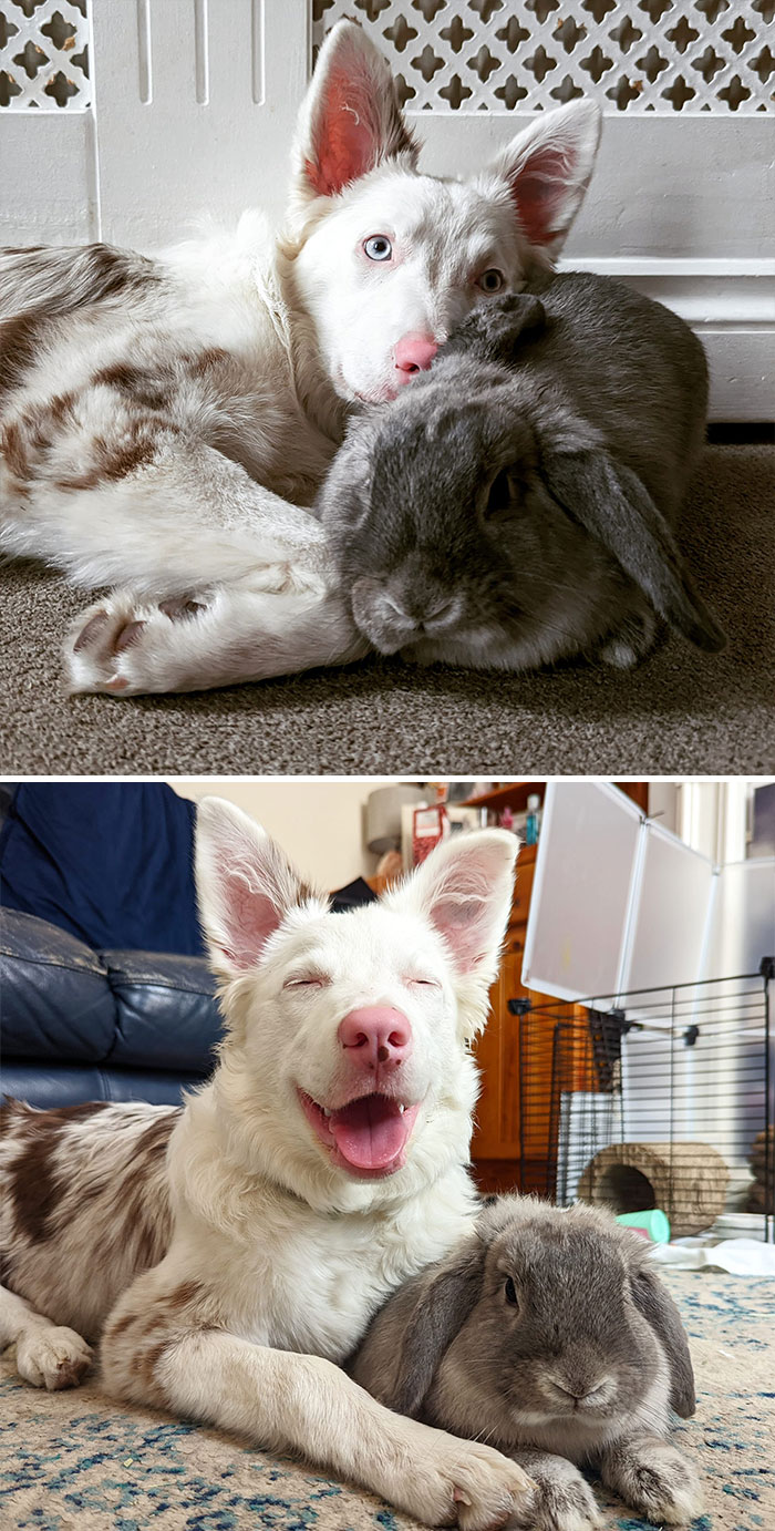 Zaza Pretty Much Only Loves The Do