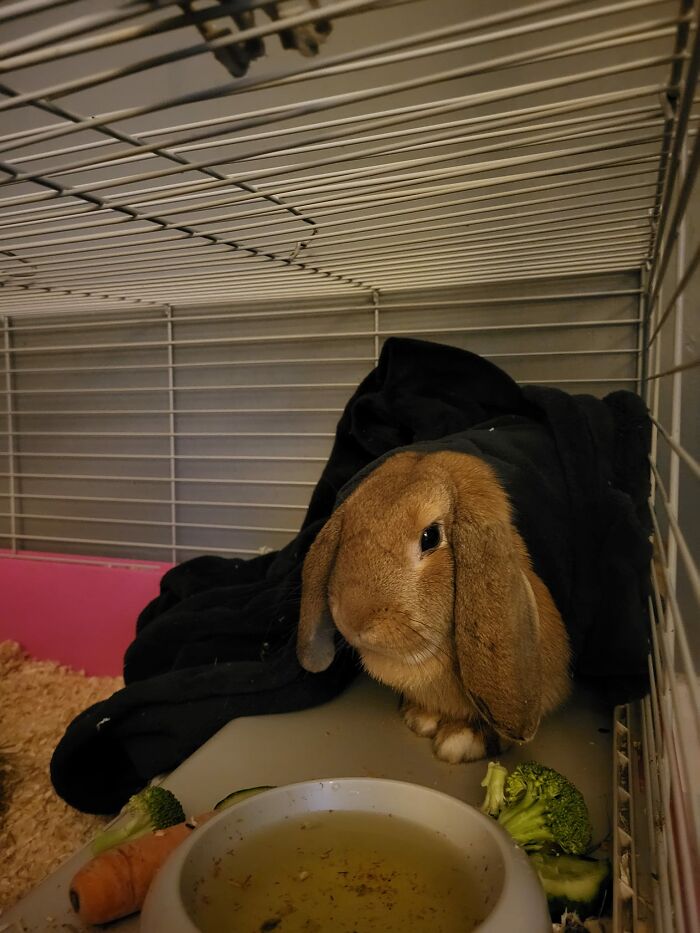 Today We Took Our Beautiful Boy For The Snip! ✂️ Turns Out Our Little Boy Bun Was A Girl Bun!