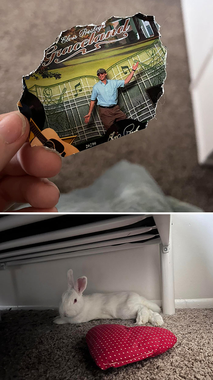 On The Left Is A Picture Of My Now Deceased Father That He Gave Us All A Print Of After A Business Trip That I Have No Other Copies Of (Yes My Dad Was A Ham Lol). On The Right Is The Ahole Who Decided That Picture Was A Good Snack