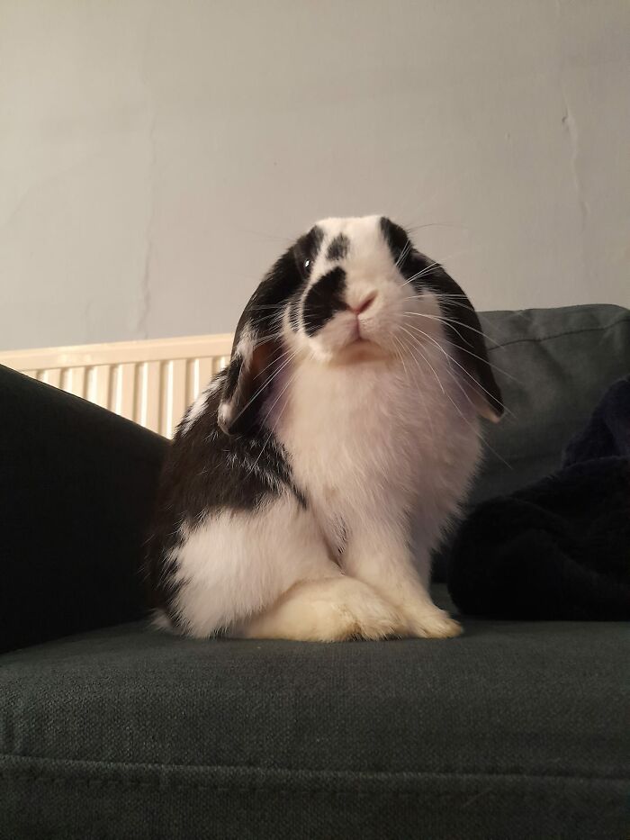 Standing Proudly Knowing What A Pain In The Arse She Is