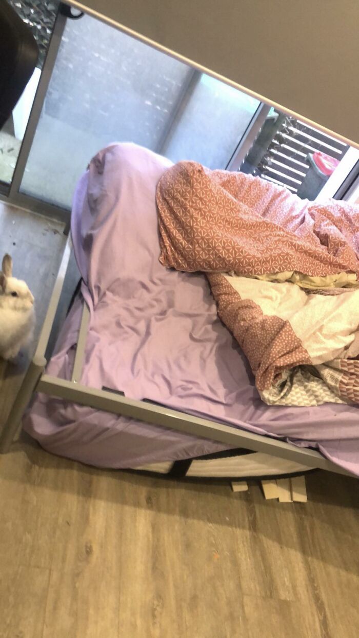 Coincidence, I Think Not