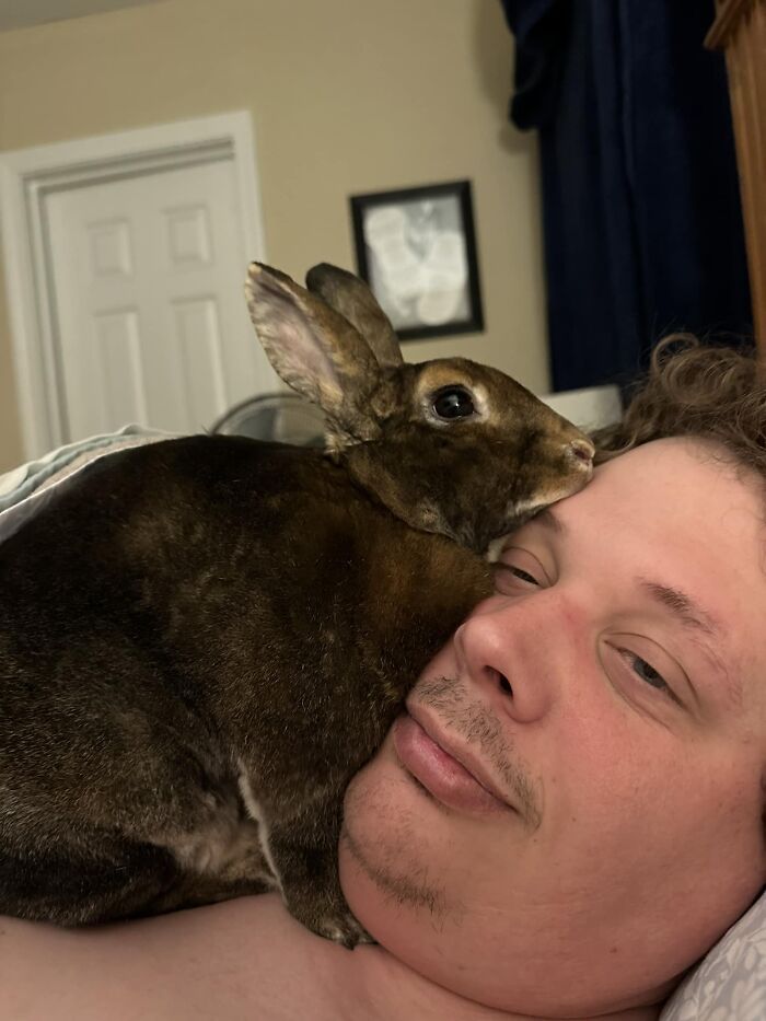  ¡Oh, papá! ¿Estás tratando de dormir? Déjame acostarme justo aquí… 