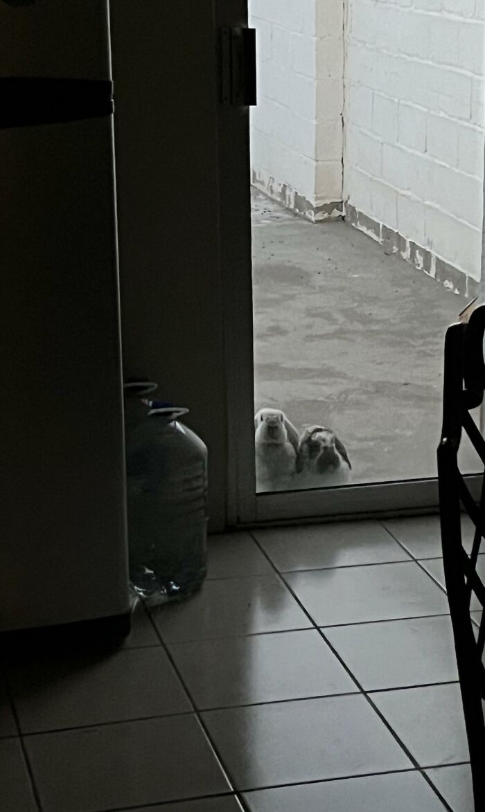 I Arrived At Home 30min Later From Work