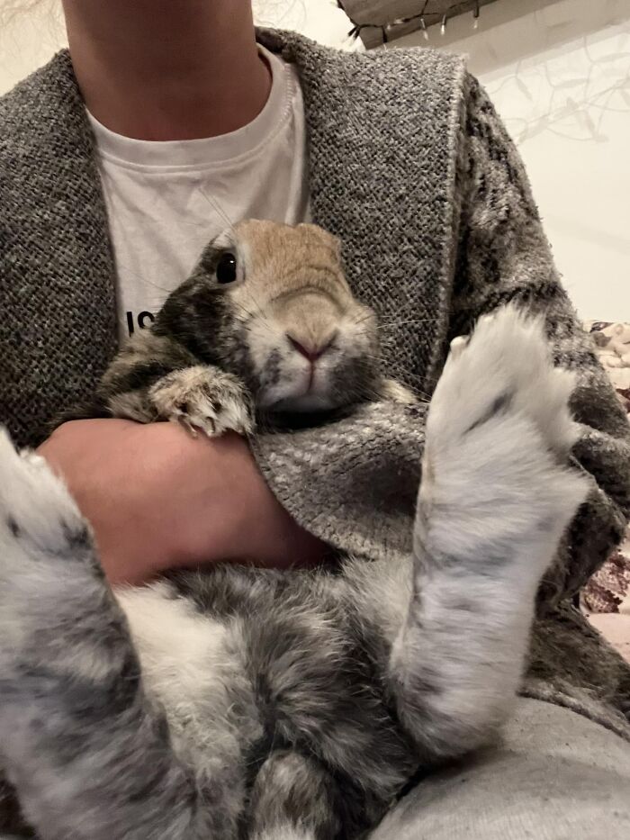 Arsehole Bit My Boob While He Had A Nail Clip. Look At Them Beautiful Fluffy Thumpers