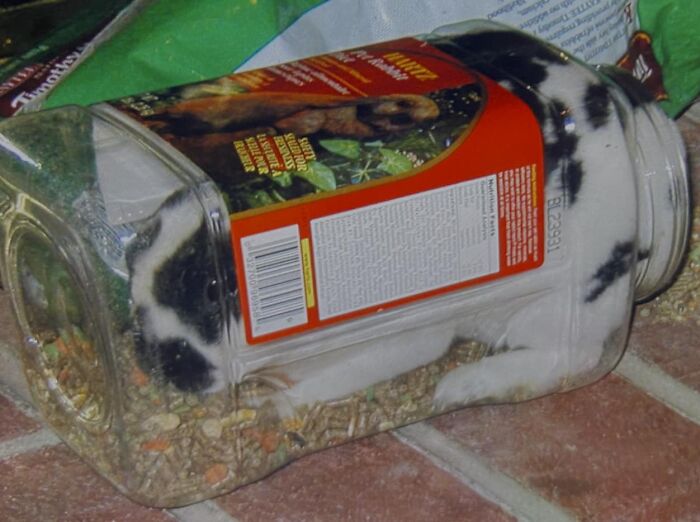 Our Little Bundle Of Joy When I Was In Middle School