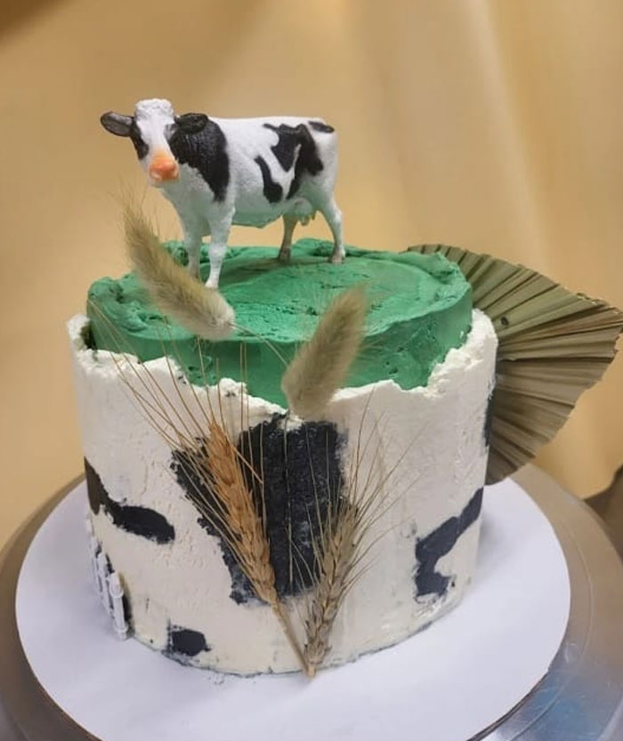 Sloppy. Posted On Professional Bakery Website. $75!!!!