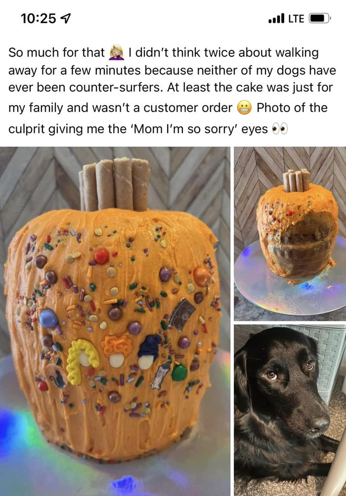 At Least It Wasn’t A Customer Order…? Mmmmkay