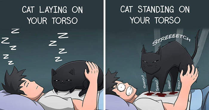 Funny Comics Illustrate The Quirks Of Living With A Cat By Cody Stone Stowe (40 New Pics)