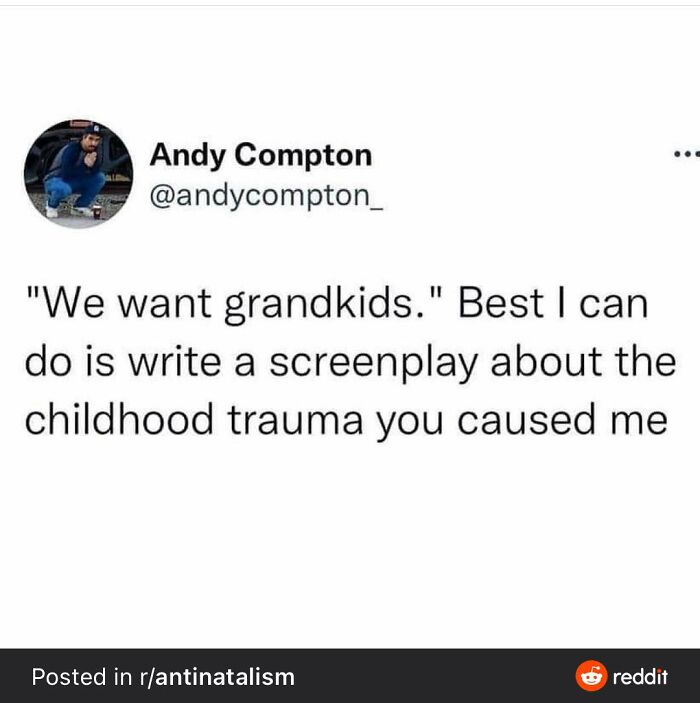 Funny-Childfree-Life-Humor