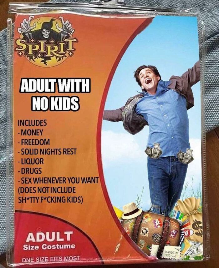 Funny-Childfree-Life-Humor