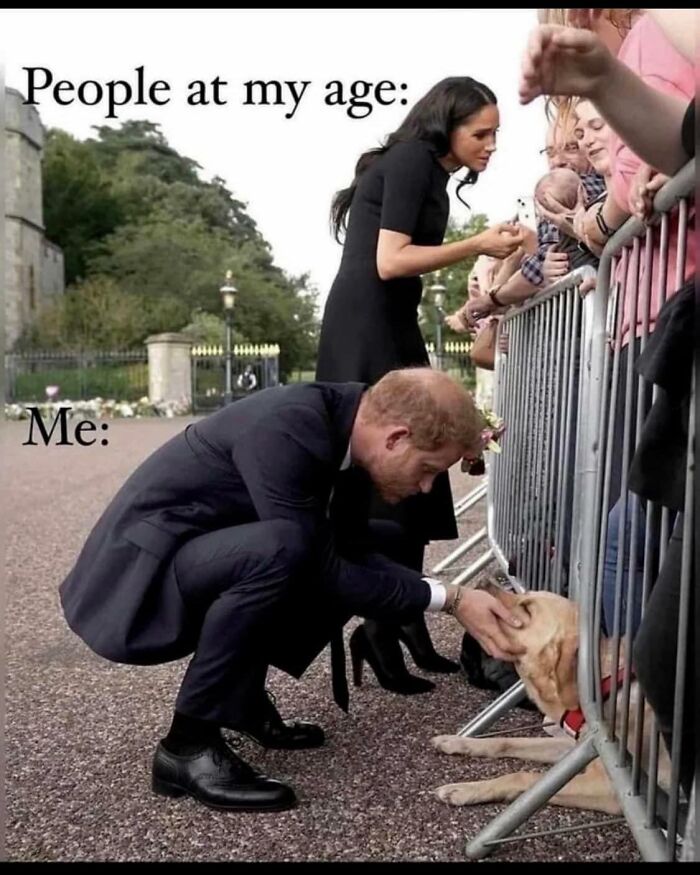 Funny-Childfree-Life-Humor