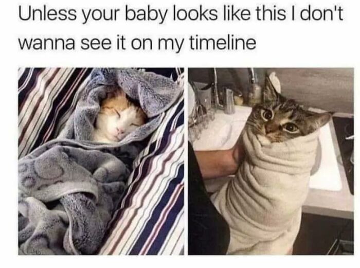 Funny-Childfree-Life-Humor