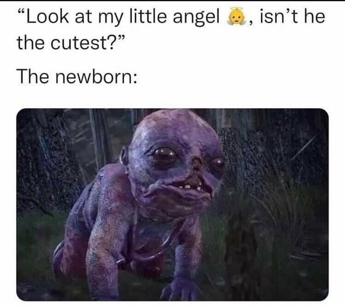 Funny-Childfree-Life-Humor