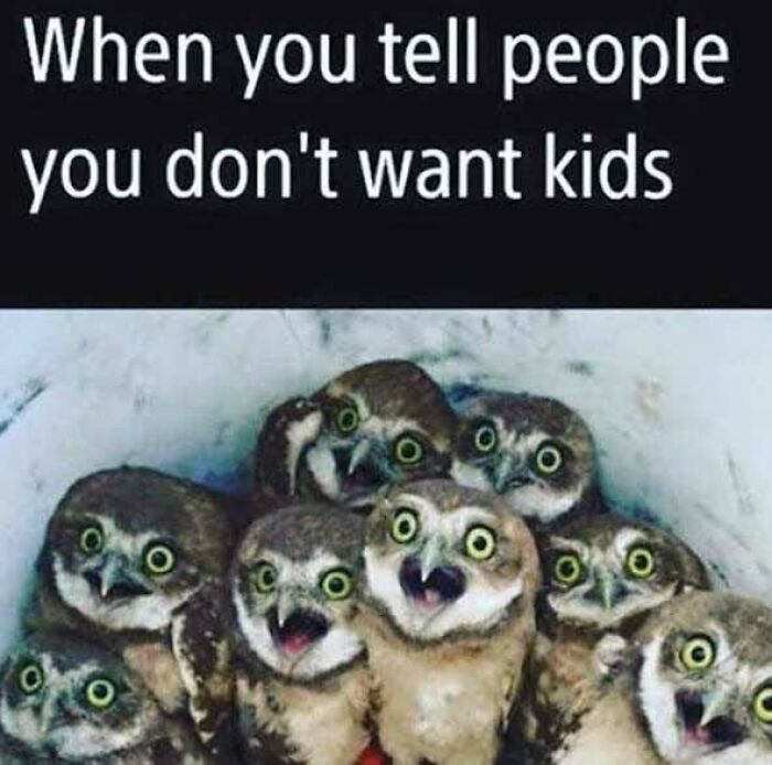 Funny-Childfree-Life-Humor