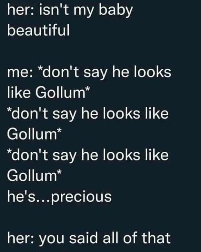 Funny-Childfree-Life-Humor