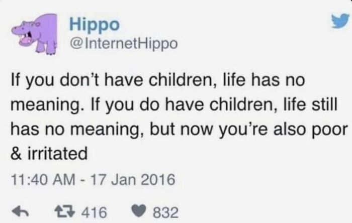 Funny-Childfree-Life-Humor