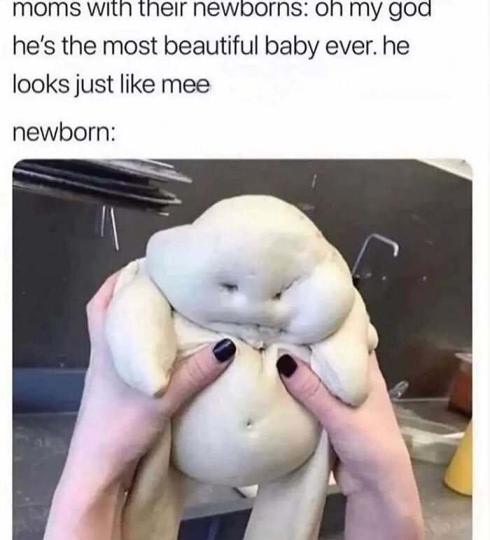 Funny-Childfree-Life-Humor