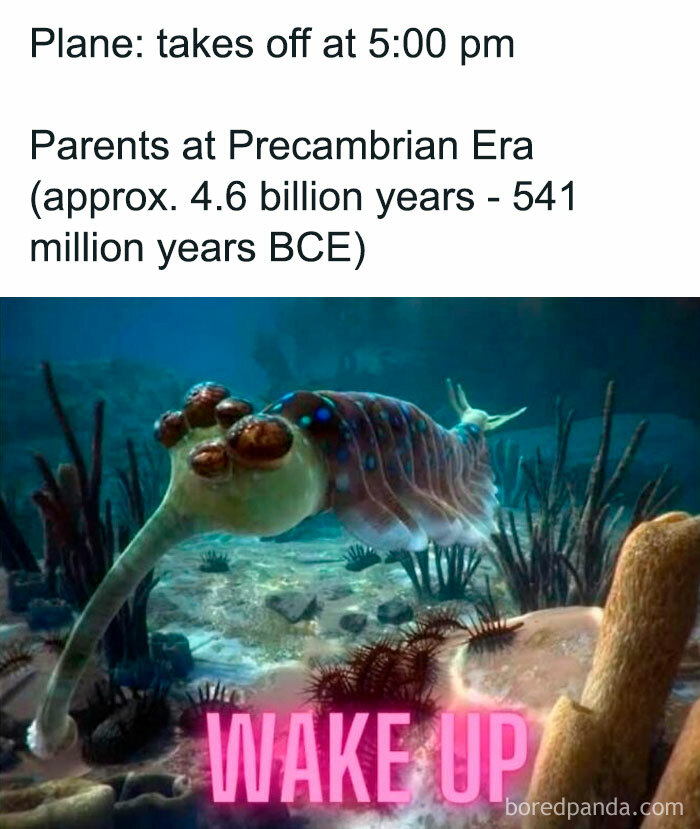 Funny-Educational-Memes