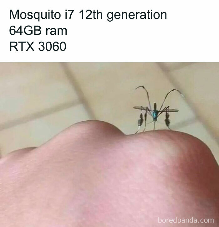 Funny-Educational-Memes