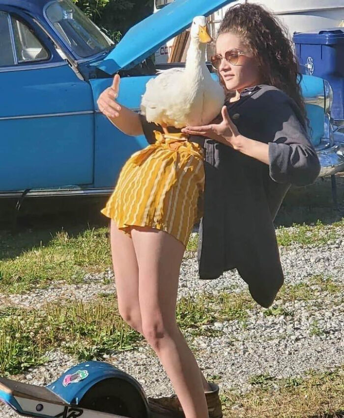 “Humans Doing Human Things”: 50 Pics That Showcase The Weird And Chaotic Side Of Humanity (New Pics)