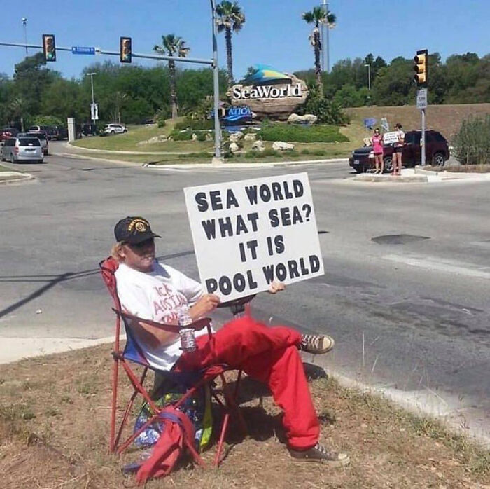 Funny-Humans-Doing-Human-Things-Pics