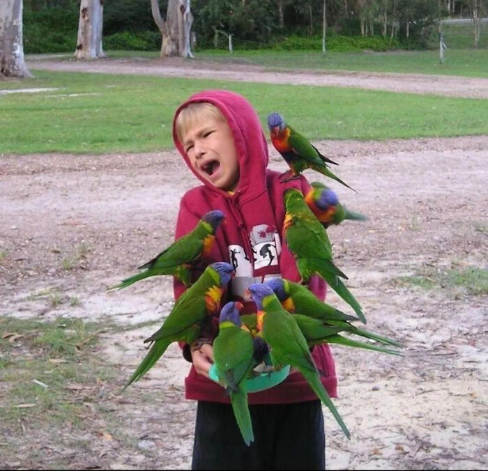 “Humans Doing Human Things”: 50 Pics That Showcase The Weird And Chaotic Side Of Humanity (New Pics)