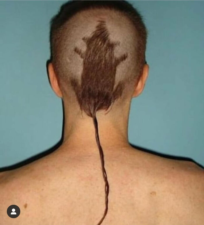 Funny-Humans-Doing-Human-Things-Pics