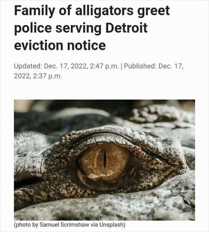 I Could Have Been Charging Pet Rent?