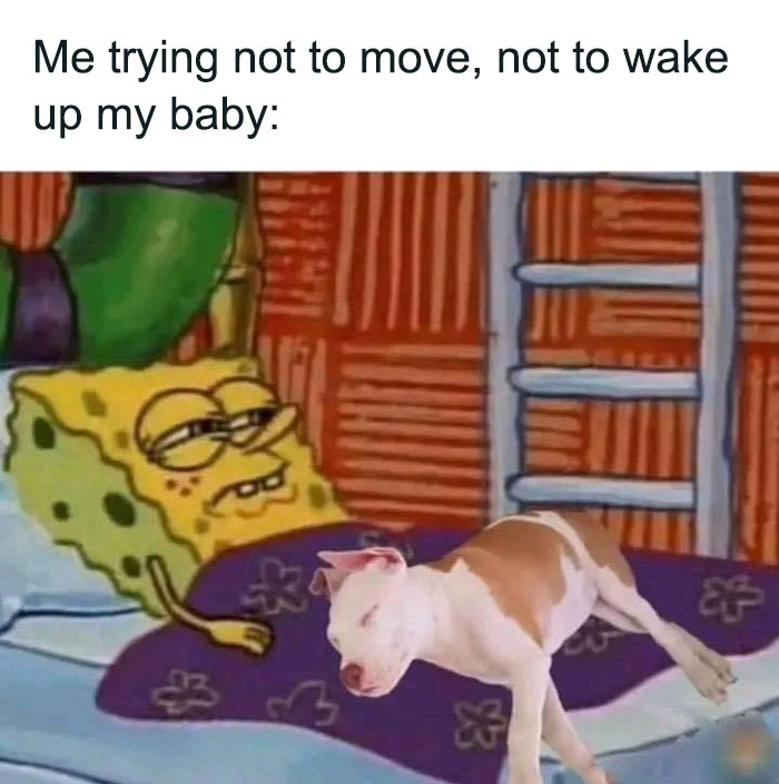 Funny-Relatable-Female-Problems