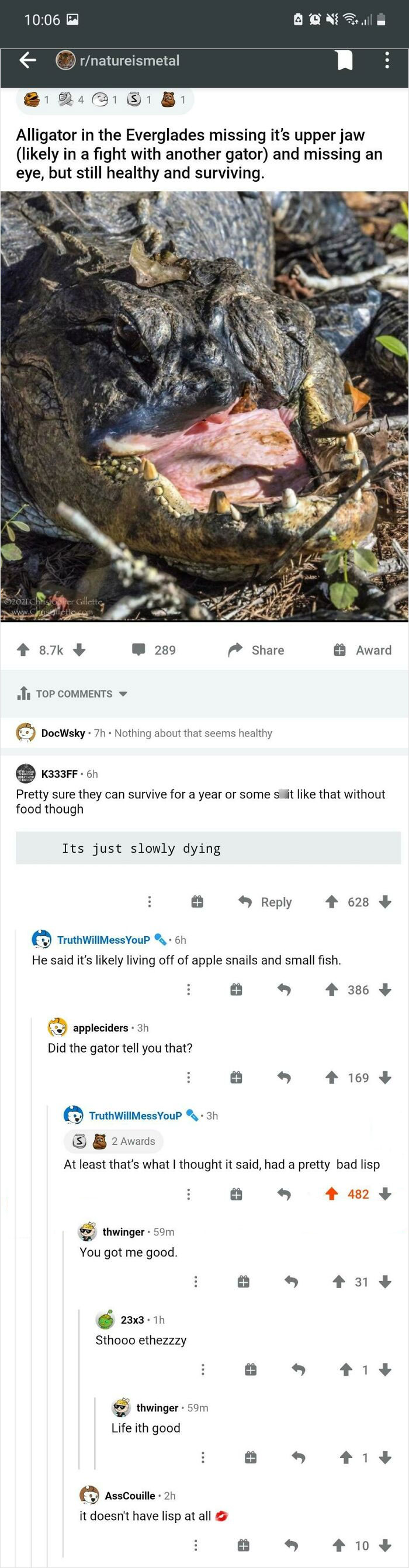 Seen On Nature Is Metal