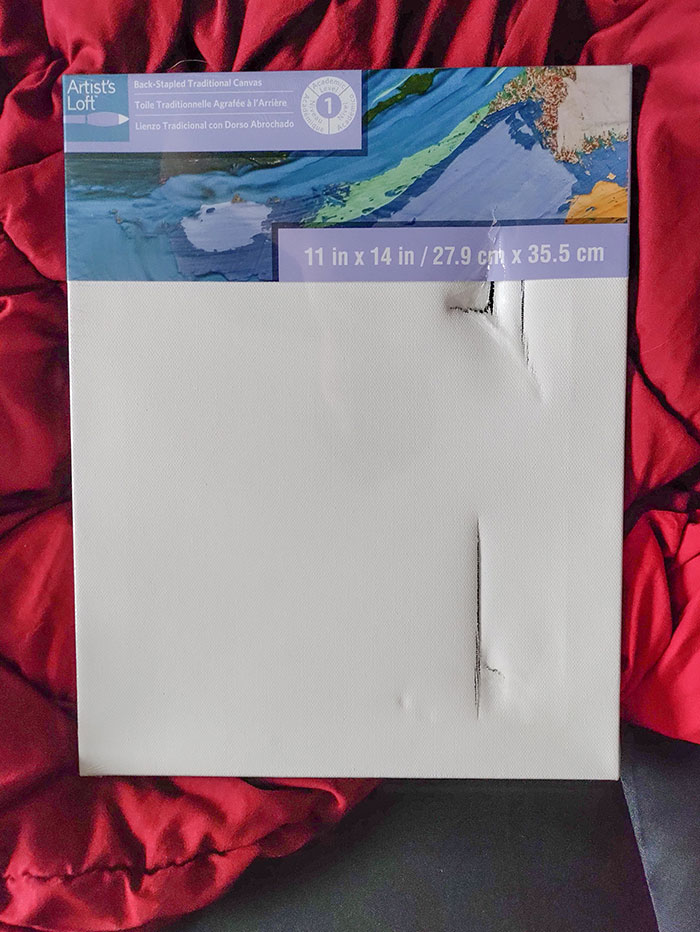 The Canvas For My Partner's Valentine's Day Gift Arrived Today