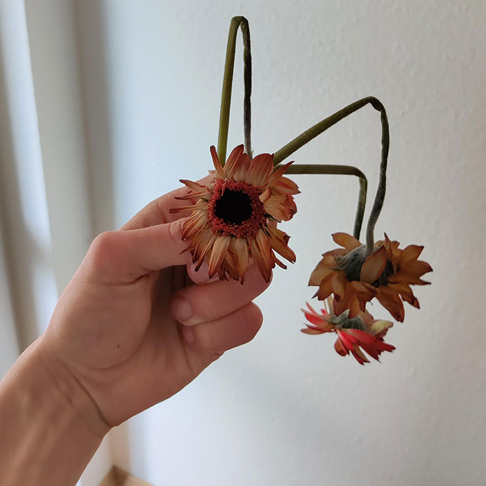 Part Of The Flowers I Ordered Online. Happy Valentine's Day