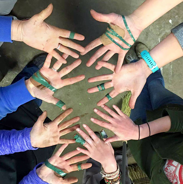 My Friend Owns A Florist Shop, And She Posted Her And Her Employees' Hands From The Week Of Valentine's Day