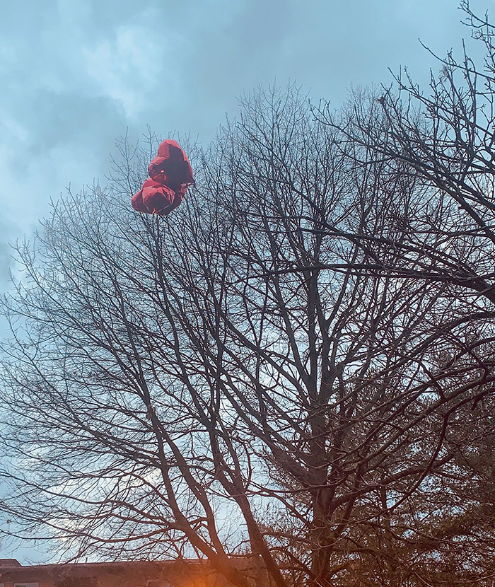 Well, Someone’s Having A Bad Valentine's Day