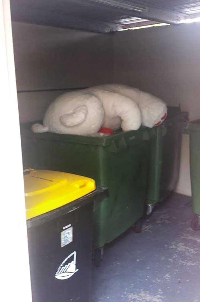 What I Found The Day After Valentine's Day