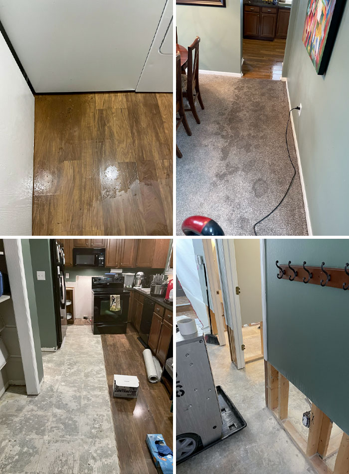 Valentine's Day Surprise