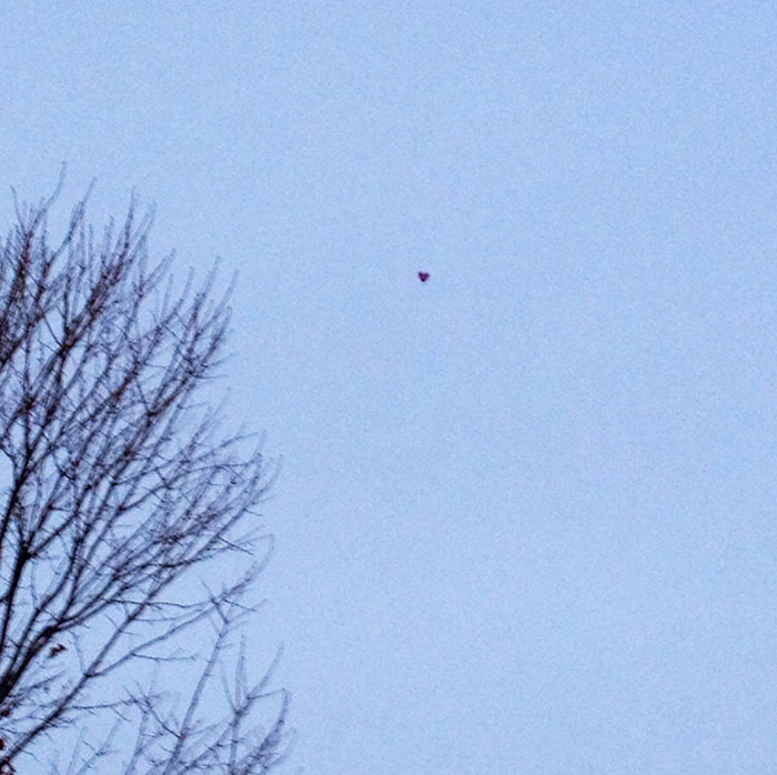 So, I Got My Wife A Balloon For Valentine's Day