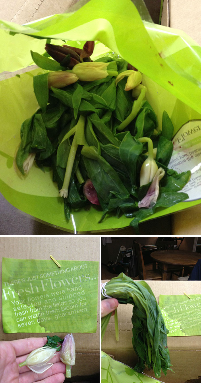 Beautiful Flowers I Got My Wife From Pro Flowers For Valentine's Day