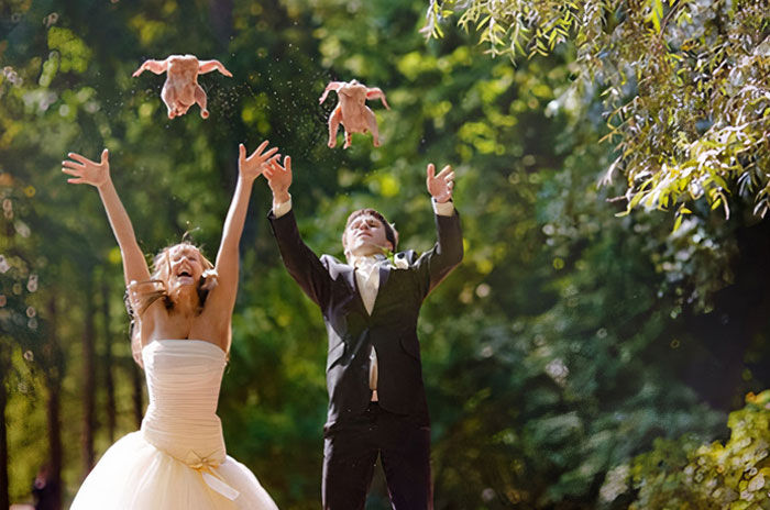 Chicken Instead Of The Doves