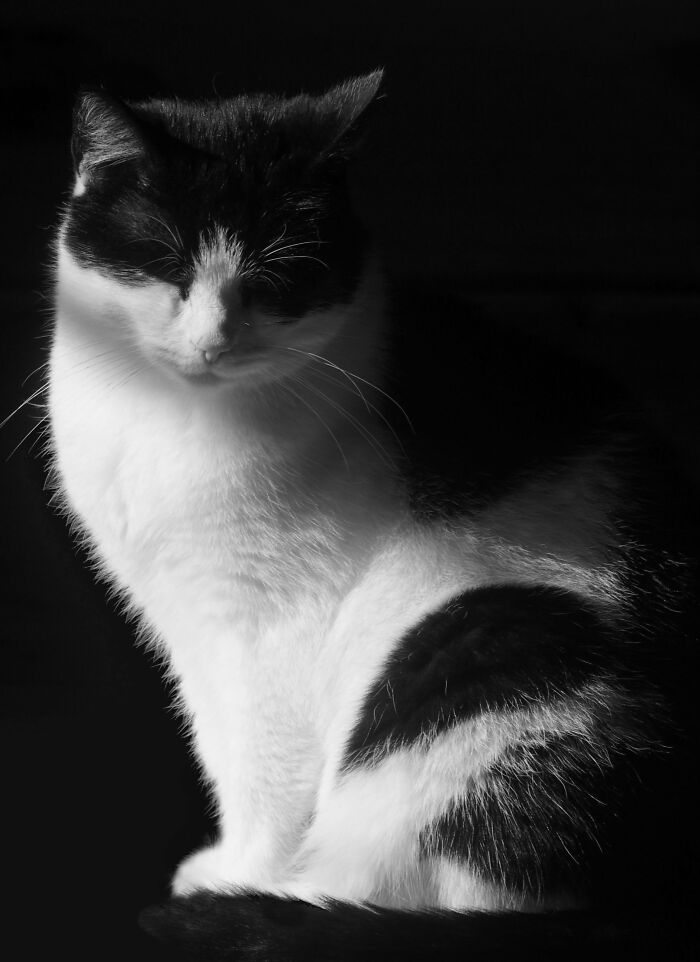 My Little Girl Winnie